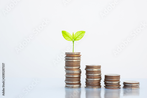 coin stack money saving concept. green leaf plant growth on rows of coin on white background. money matters tips to investment and business financial banking for Financial Wellness.money management.