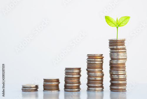 coin stack money saving concept. green leaf plant growth on rows of coin on white background. money matters tips to investment and business financial banking for Financial Wellness.money management.