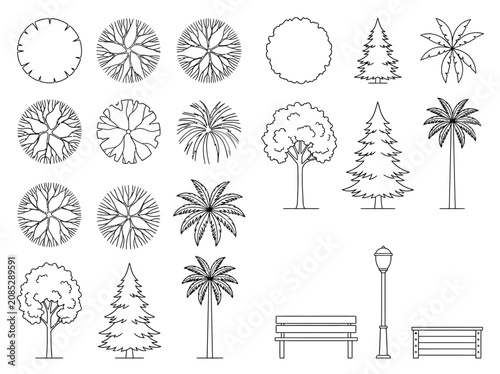 фотографія Architectural CAD blocks of trees palms lamp and benches in plan and elevation v