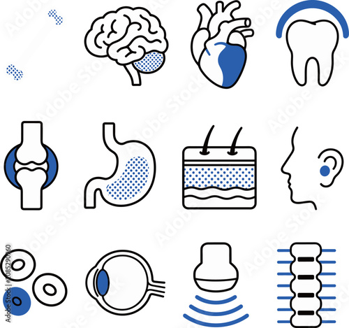 Medical Icons of Human Organs and Systems