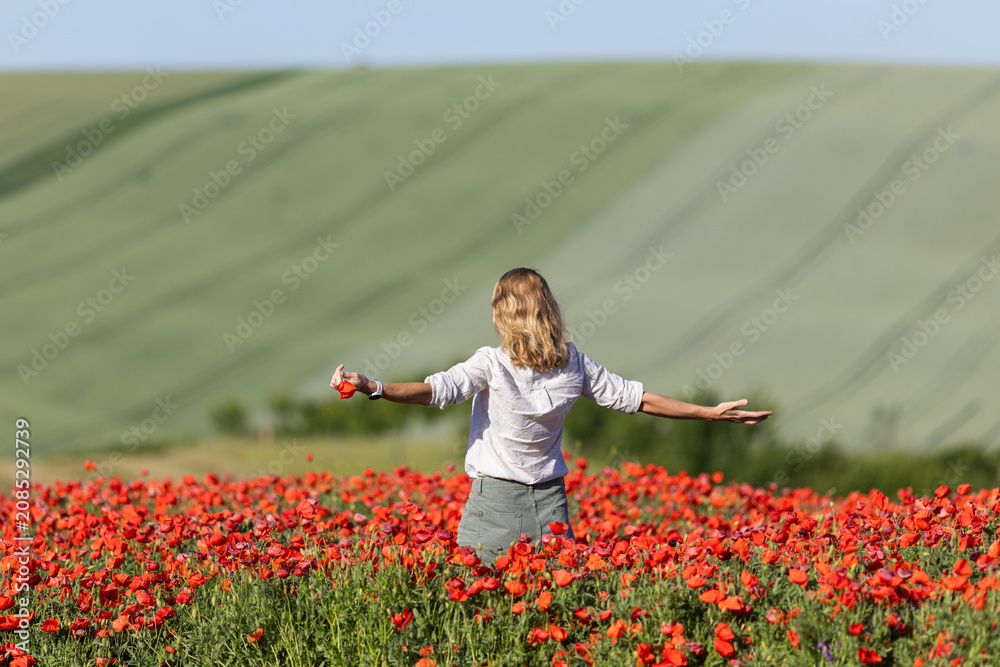 Fototapeta premium happy woman in a poppy field in Moravia Czech Republic