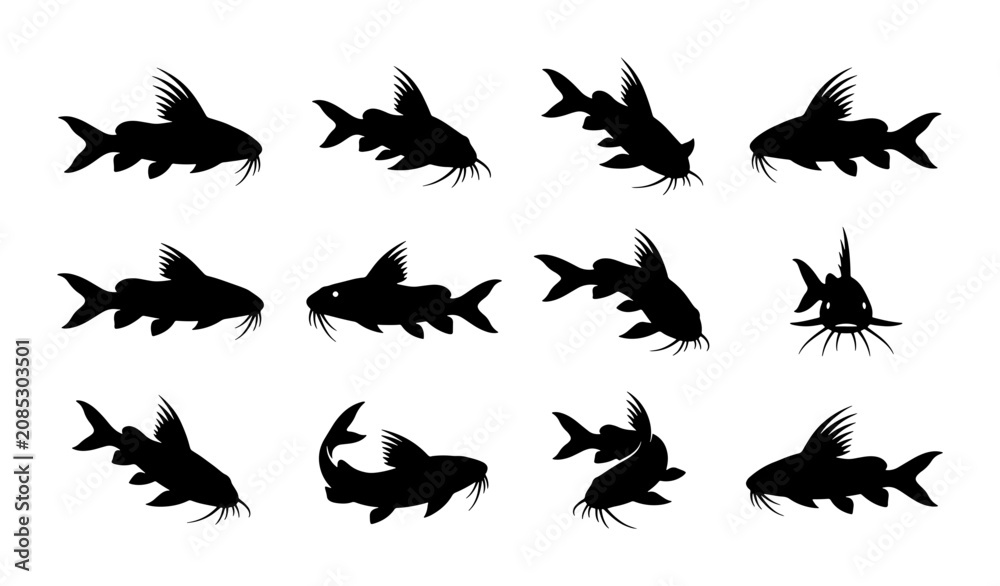Fototapeta premium Catfish Silhouette Collection: Diverse Poses of Freshwater Fish, Aquatic Animal Vector Icons for Wildlife and Fishing Graphics