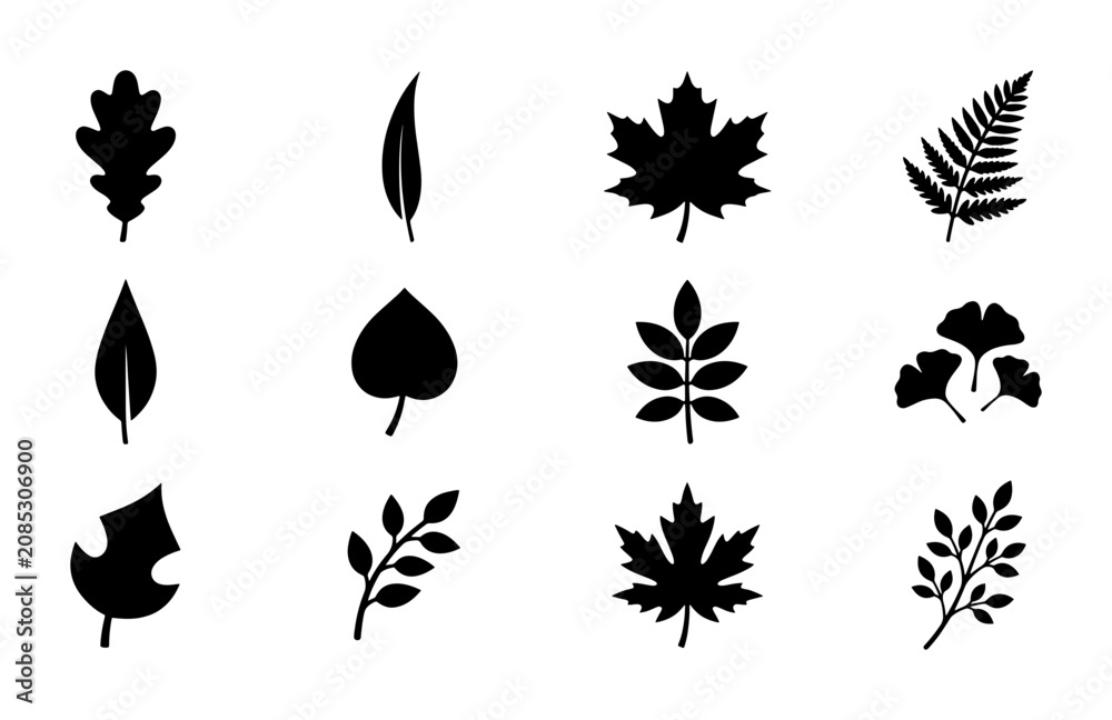 Obraz premium Diverse Leaf Silhouettes Collection, Botanical Icons Set, Autumn Foliage Vector Graphics, Nature Elements for Design