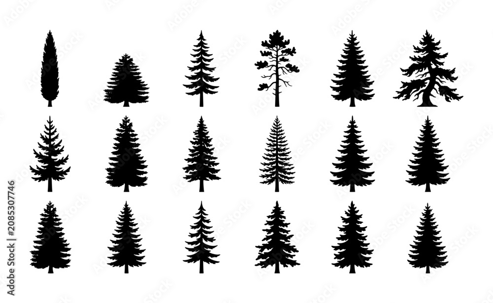 Fototapeta premium Diverse Pine Tree Silhouettes, Evergreen Conifer Vector Icons Set, Forest Nature Elements Collection for Design