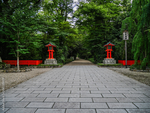 【京都府】下鴨神社・糺の森の新緑と参道