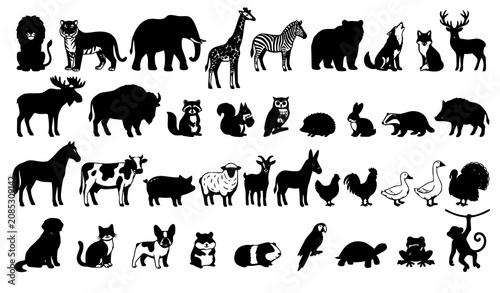 Canvas Print Wild and Domestic Animal Collection with Flat Vector Wildlife and Farm Animal Il
