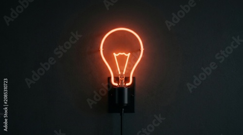 Glowing orange neon light bulb on dark wall