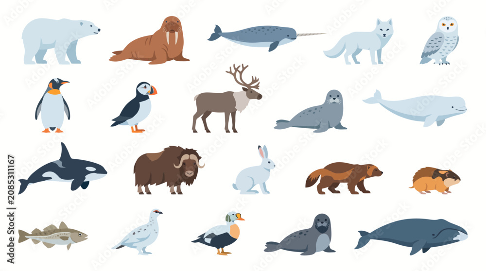 Fototapeta premium Arctic animals display various species such as a polar bear, walrus, narwhal, and snowy owl showcased in a structured set for nature enthusiasts.