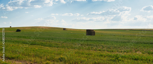 Hay bales stacked in green field under blue cloudy sky, representing agriculture and rural harvest landscape