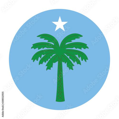 palm-tree-island-flag-flag