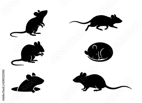 Konstfotografi Six Silhouette Mouse Icons, Rodent Vector Graphics, Small Animal Poses, Cute Cri