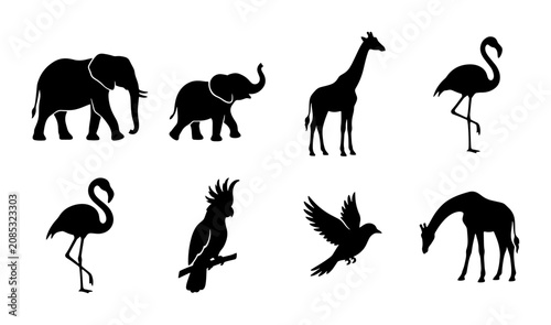 Photography African Safari Animal Silhouettes, Tropical Bird Icons, Wildlife Vector Set, Zoo