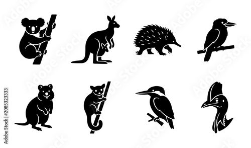 Photography Australian Wildlife Icons Set, Kangaroo, Koala, Echidna, Bird Silhouettes, Vecto