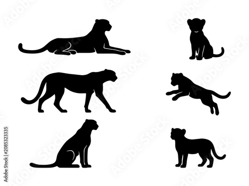 Wall Mural Black Panther Silhouettes, Wild Cat Poses, Big Cat Vector Icons, Feline Animal C