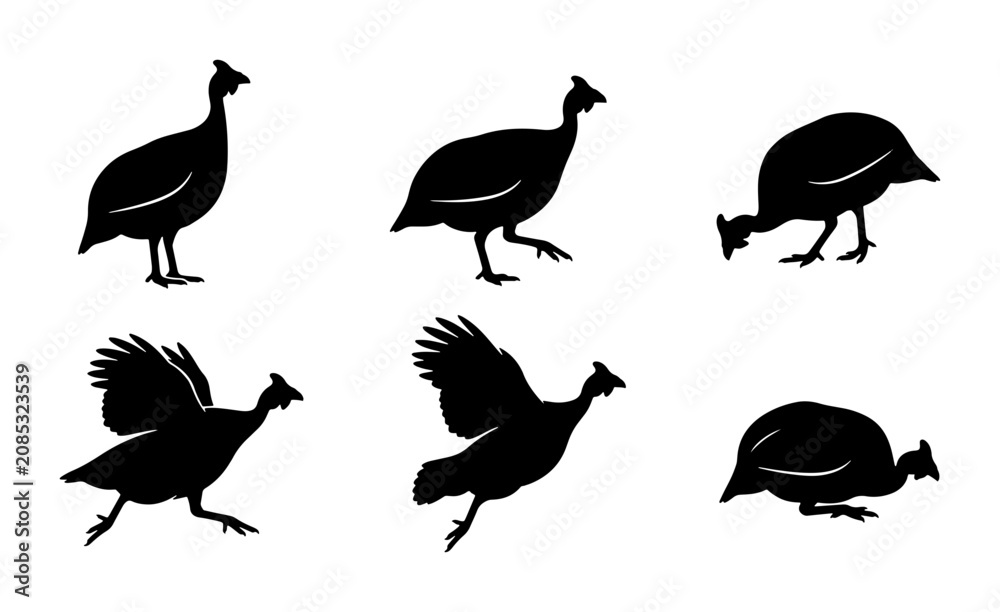 Fototapeta premium Guinea Fowl Silhouettes, Six Bird Poses, Vector Graphics, Farm Animals, Wildlife