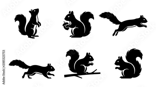 Foto Squirrel Silhouettes: Six Vector Poses, Wildlife Animal Icons, Nature Graphics