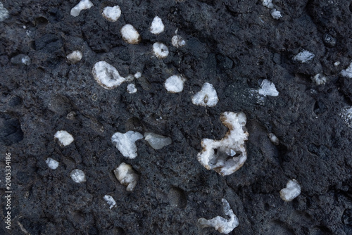 Photos A close-up of dark vesicular volcanic rock matrix filled with white calcite and