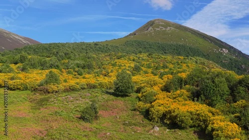 Flying Over Dense Forest In The Mountain Range In Summer. - aerial shot