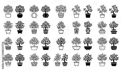 Foto Kumquat tree icon vector set in outline and solid glyph style with lucky citrus