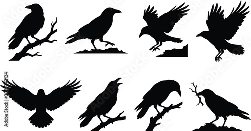 Schilderij op canvas Raven Crow Bird Silhouette Bundle with Flying Perched Calling and Foraging Wildl