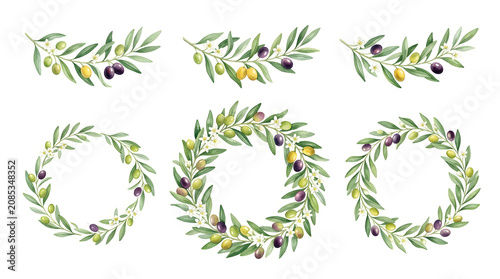 Olive branch wreaths and leaves on white