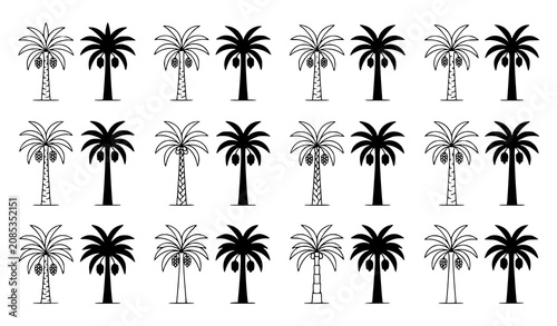 Premium date palm tree outline and silhouette vector pack with botanical line art and ripe date fruit icons isolated on white background
