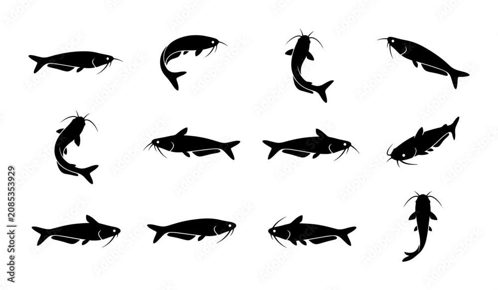 Fototapeta premium Black Silhouette Catfish Icons, Aquatic Life Vector Set, Freshwater Fish Illustrations for Seafood and Fishing Concepts