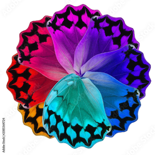 colorful magic art in circle form on white background, exotic mutiple colors pattern