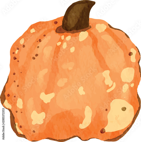 Cuadro en lienzo Orange bumpy pumpkin vector, isolated watercolor style warty gourd