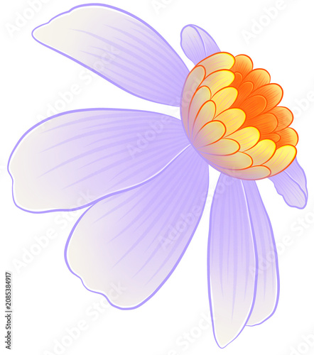 vector illustration of a flower