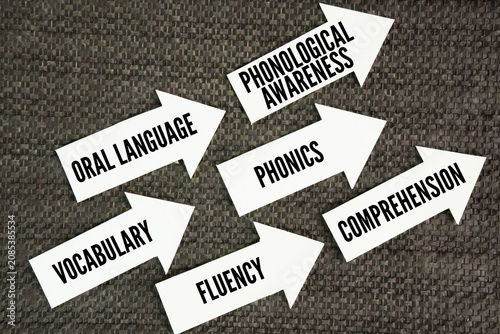 Konstfotografi What is the big 6 in education? oral language, phonological awareness, phonics, vocabulary, fluency and comprehension word