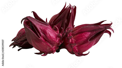 Fotografie Deep red hibiscus calyces cluster