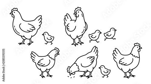 Tableau sur toile Chicken family doodles illustration showing hens and chicks in various poses rep