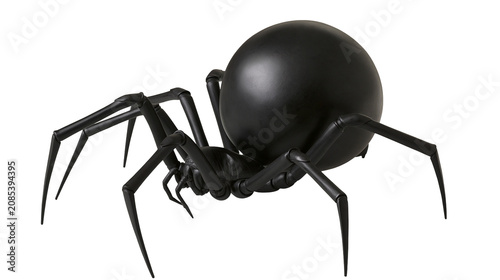 Tableau sur toile Black widow spider with large abdomen and eight legs