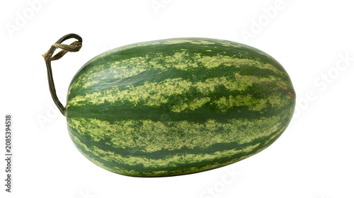 Fotografie Whole oval watermelon with green stripes and stem