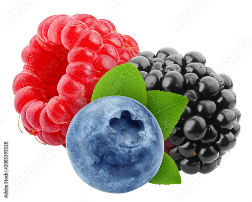 wild Berries mix, raspberry, blueberry, blackberry isolated, full depth of field
