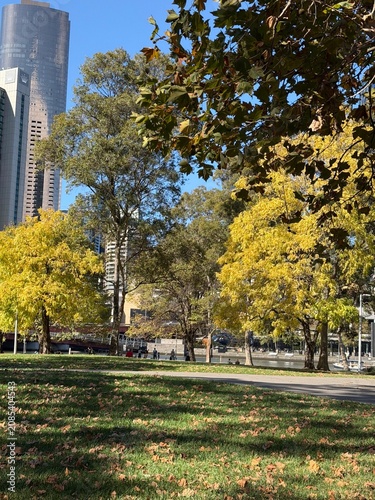 фотографія autumn in the park