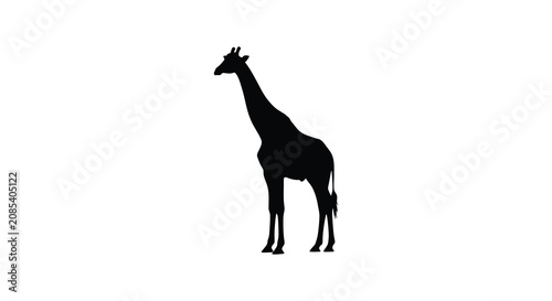 Canvas Print A striking giraffe silhouette against a white background a minimalist animal ill