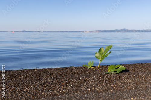 Fotografía A view of Lake Bolsena, Umbria, Italy
