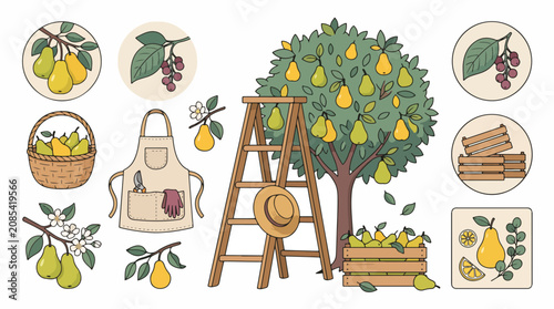 Photos Illustrated pear tree with harvest and farming tools.