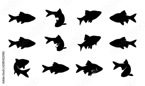 Obraz na płótnie Silhouette Fish Vector Icons, Aquatic Animal Graphics, Marine Life Collection, U
