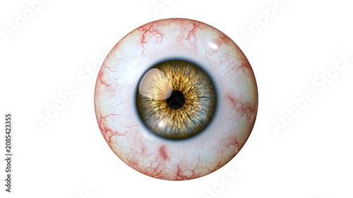Quadro su tela Human eyeball with golden iris and visible red blood vessels