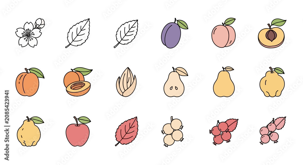 Fototapeta premium Hand-drawn fruit icons and illustrations: berries, apple, pear, plum, peach, apricot, quince, flower, leaves