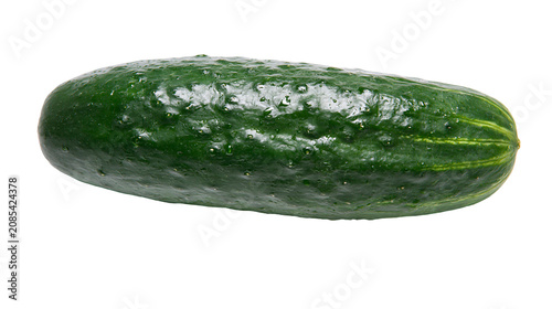 Valokuva Green bumpy cucumber with water droplets