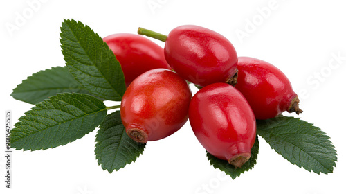 Red rose hips with green leaves