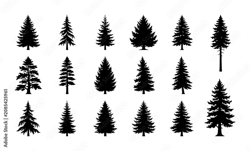 Obraz premium Diverse Pine Tree Silhouettes, Evergreen Conifer Vector Icons, Forest Woodland Elements, Nature Graphics Collection