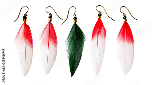 Vászonkép Feather Earrings Red White Green Gold Hooks