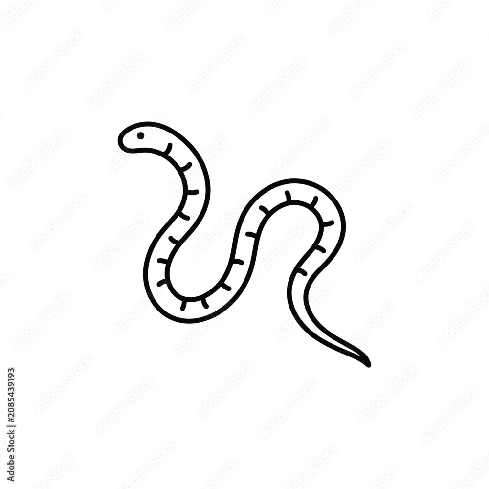 Fototapeta premium Worm in black outline, simple doodle for nature or education on transparent background.