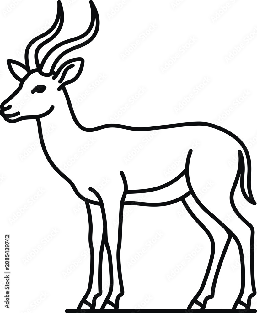 Fototapeta premium Impala antelope outline drawing isolated on transparent background for coloring book safari animal.