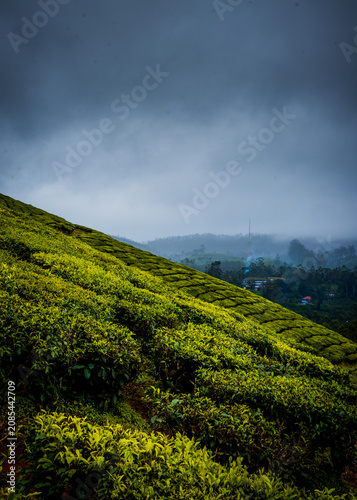 Monsoon Landscape and tourism in Munnar Kerala India